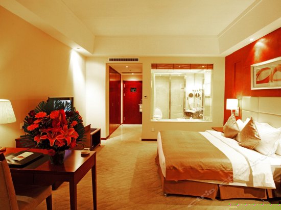 负离子健康商务大床间