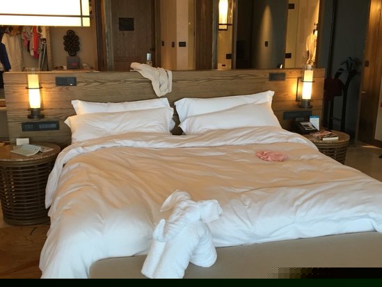 酒店房型