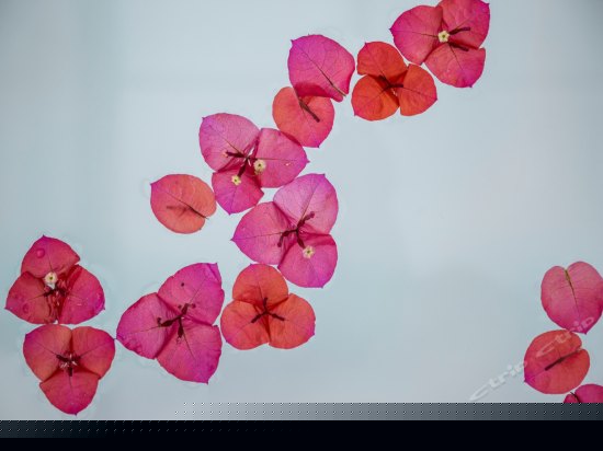 超级海景大床房