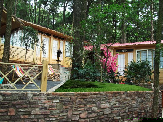 日式主题大床房