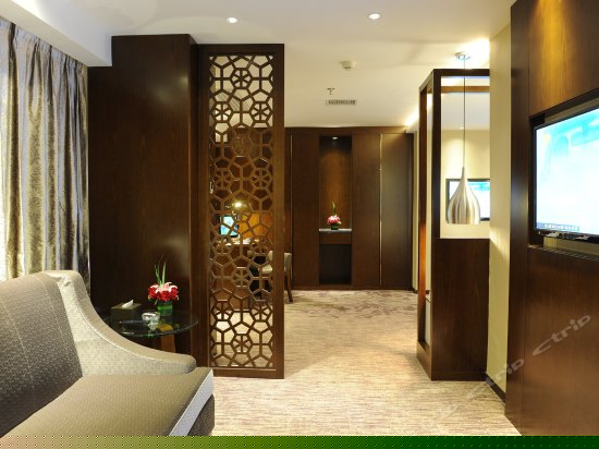 精品豪华单人间