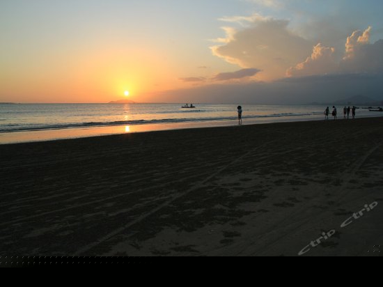 豪华园景大床房