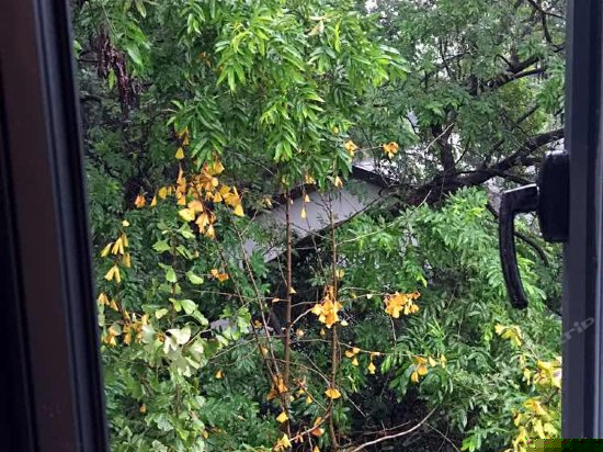 榻榻米艺术星空房黛蓝