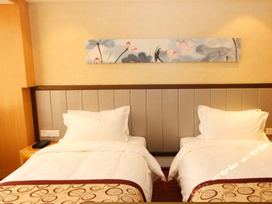 豪华商务双床房