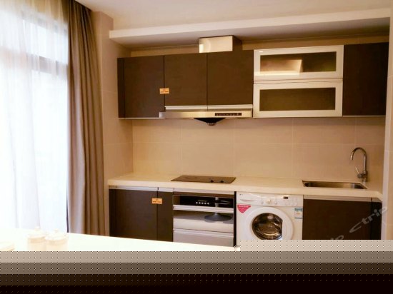 精致豪华一室一厅公寓