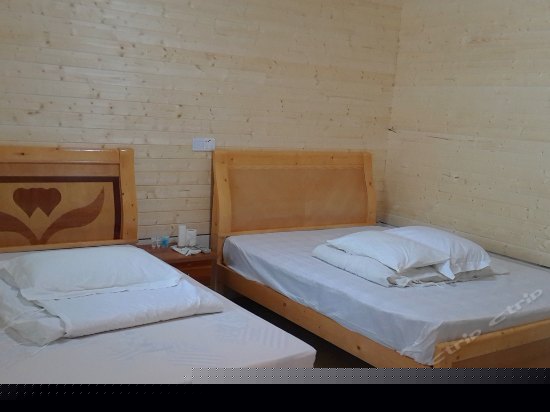 小木屋房(无窗)