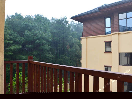 豪华山景单卧大床套房