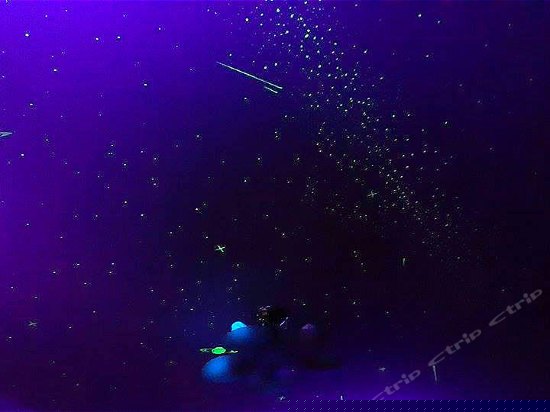 包栋（无窗）