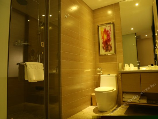 高级大床房(无窗)