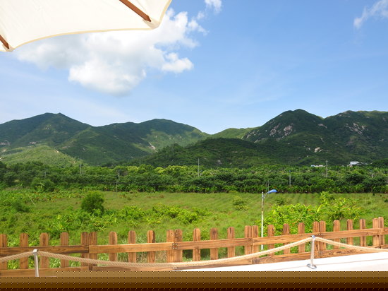 豪华天台山景大床房