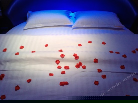 紫色海景电动圆床房