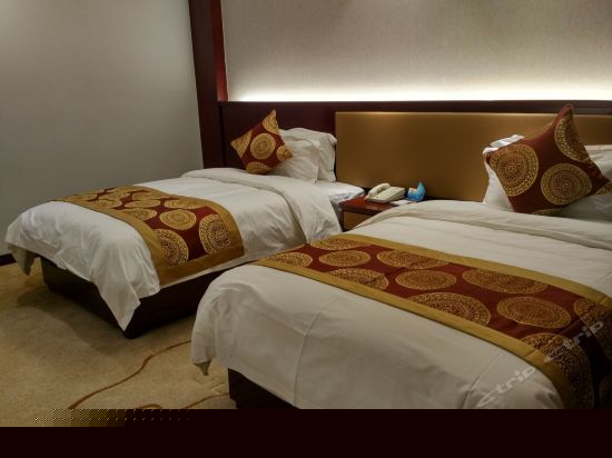 标准双床房（无窗）