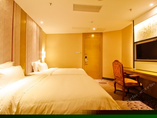 高级双床房