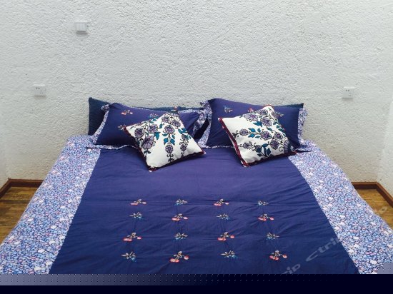 莎士比亚 b201田园山景榻榻米大床房