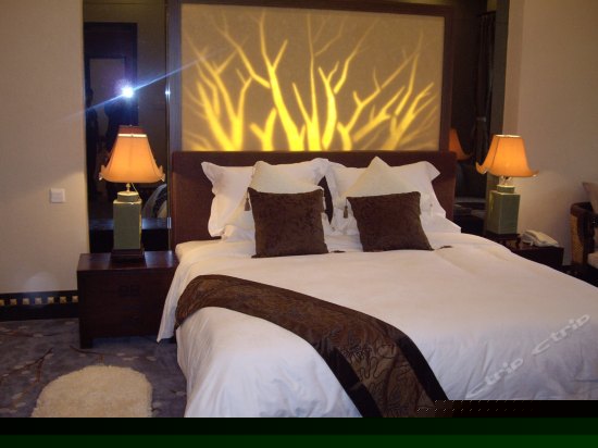 别墅区·丰泽苑