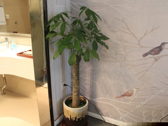 悟空中式现代风格房