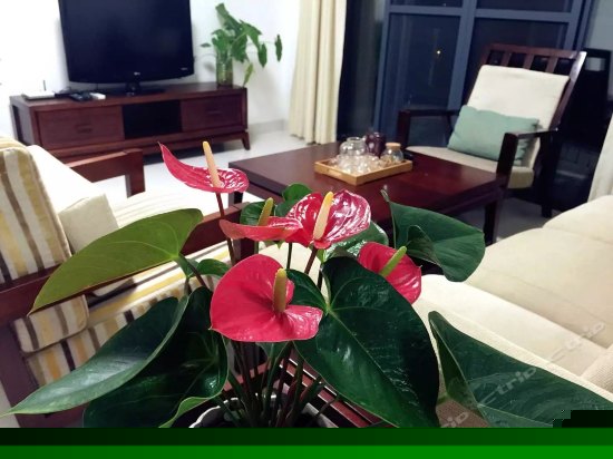 豪华海景两房一厅