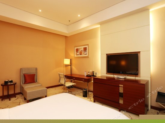 A座豪华商务大床