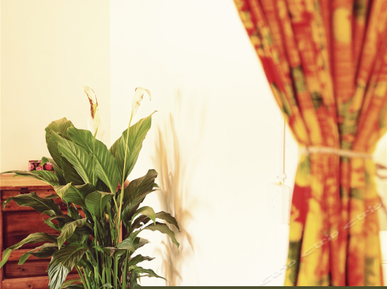 隐语（观景情侣蜜月套房）