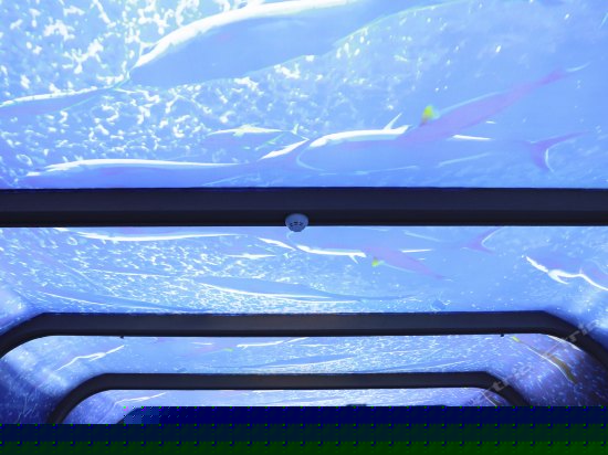 海底世界主题房