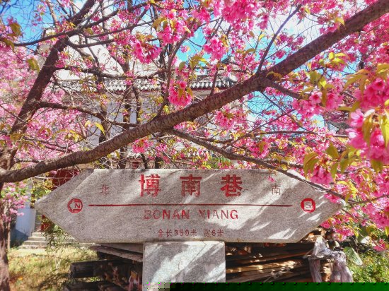 观山看海大理古城别墅