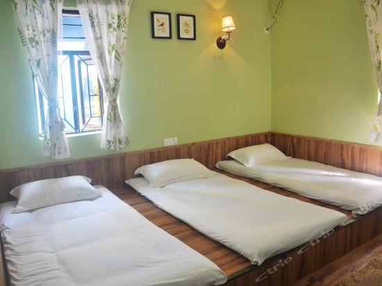 榻榻米鸟语天堂