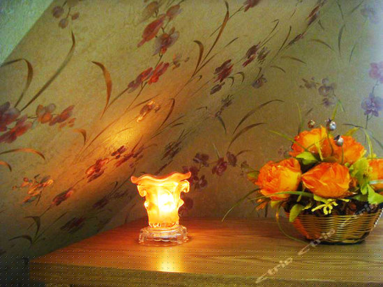 豪华跃层两房（田园风格）