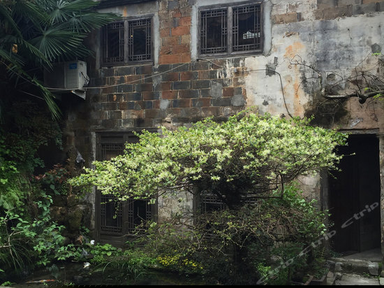 花园复式豪华月光套房