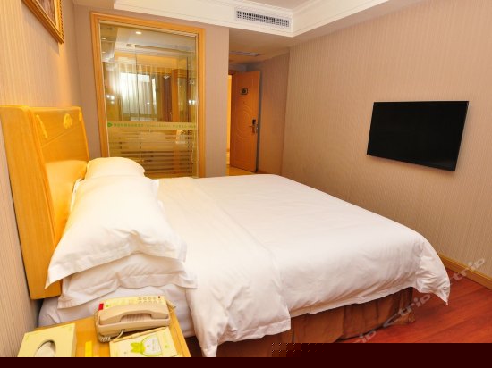 标准单人房(无窗)