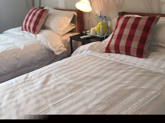 草间弥生标准间