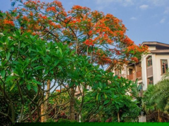 浅水湾别墅五房五床四卫套房