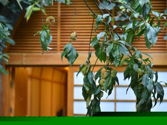 窑洞汤屋(无窗)