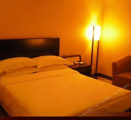 特价商务单人间(无窗)