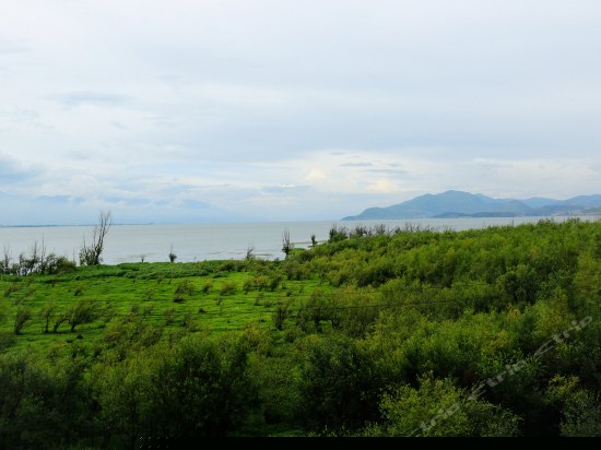 尊贵海景大床房