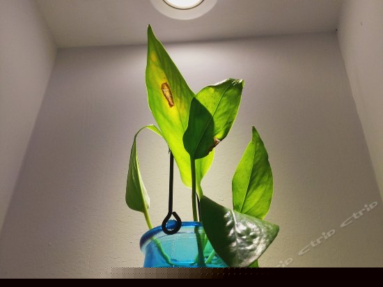 洱海天域国际公寓三房两厅两卫三阳台