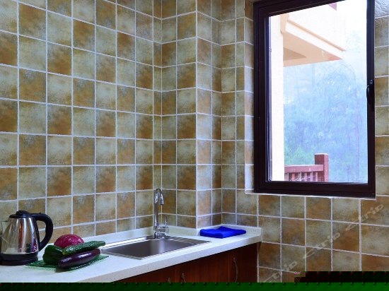 豪华山景双卧三床套房