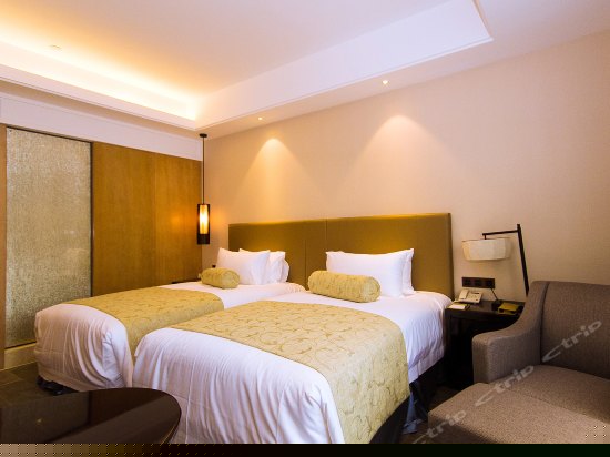 豪华双床房