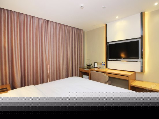 高级大床房(无窗)