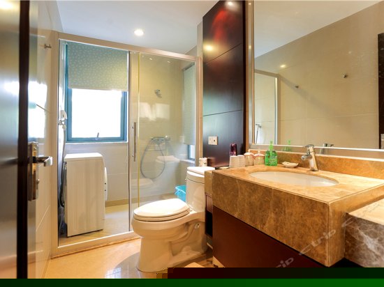 精致豪华一室一厅公寓