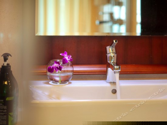 明月轩海景套房