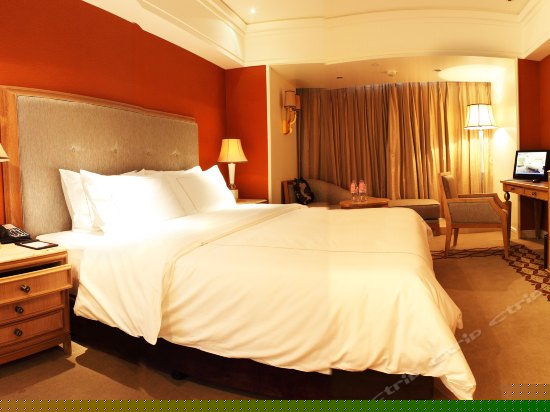 B座贵宾行政单间