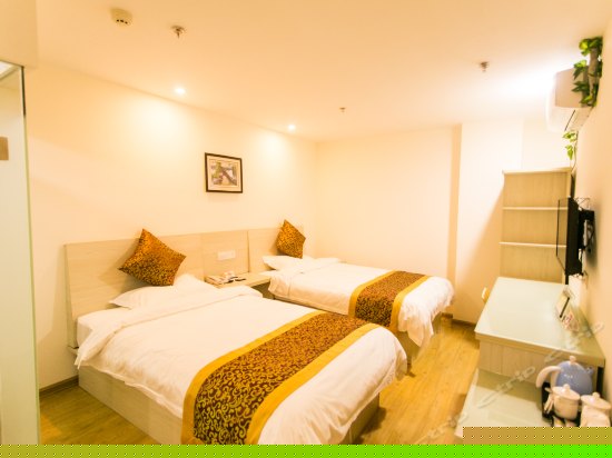 经济双床间(无窗)