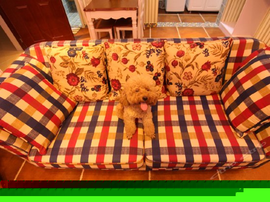 豪华海景两房两厅豪装套房