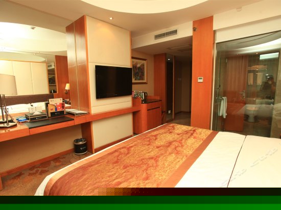 普通单人欧式园景大床房