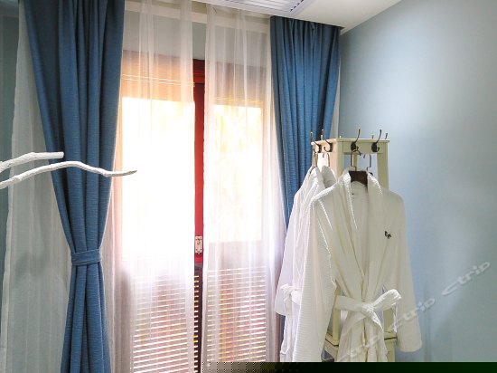 鵉尾花豪华大床房