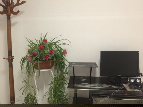 二卧室二厅套房