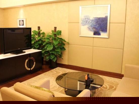 豪华一居室公寓