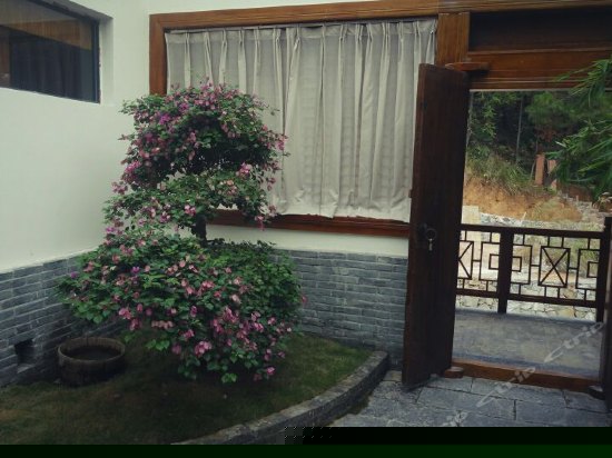 阳光庭院观景套房