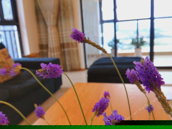 普罗旺斯薰衣草主题180度海景三居室套房