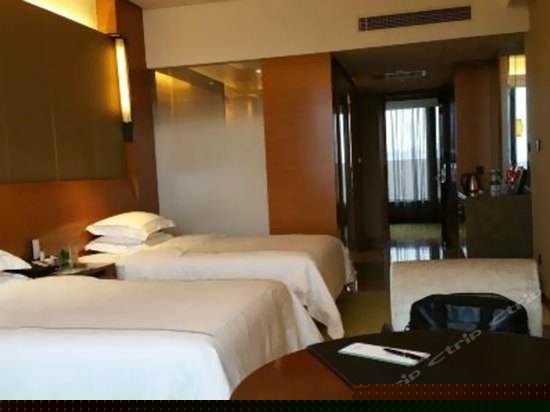 商务园景双床房